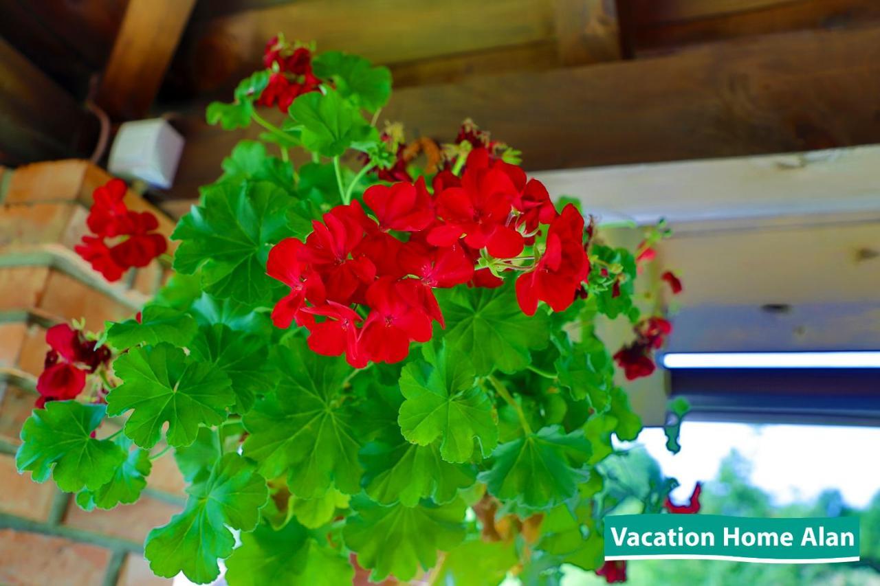 Vacation Home Alan 2 クレン・ヴァクフ エクステリア 写真